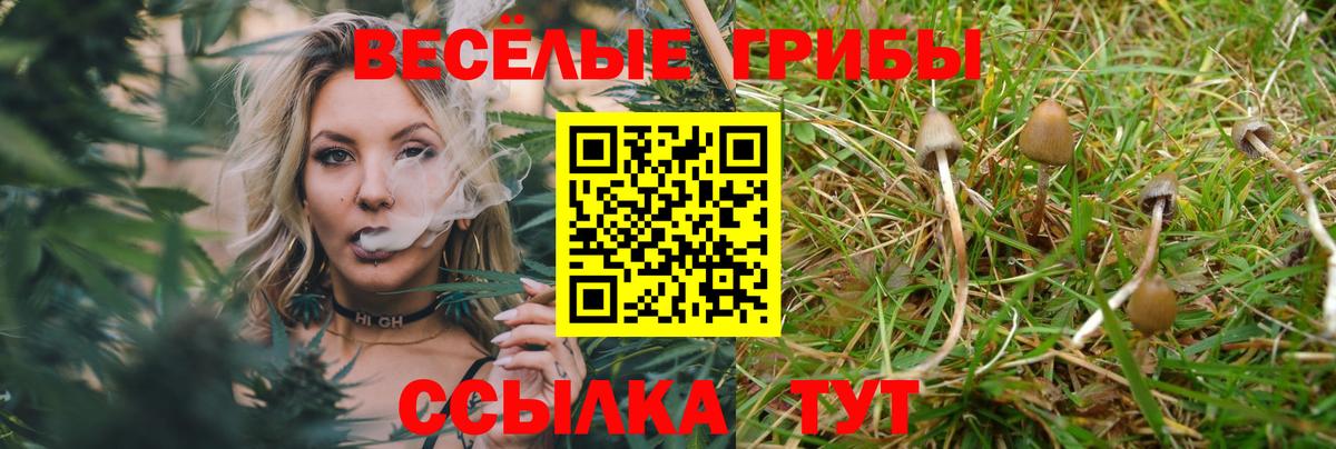 Галлюциногенные грибы MAGIC MUSHROOMS  Вход с VPN  Ачхой-Мартан  Галлюциногенные грибы MAGIC MUSHROOMS 